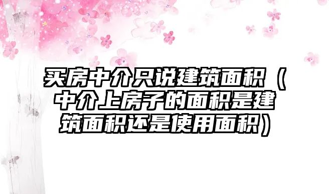 買房中介只說建筑面積（中介上房子的面積是建筑面積還是使用面積）