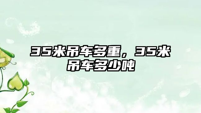 35米吊車多重，35米吊車多少噸