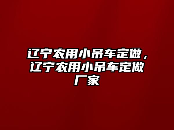 遼寧農(nóng)用小吊車定做，遼寧農(nóng)用小吊車定做廠家