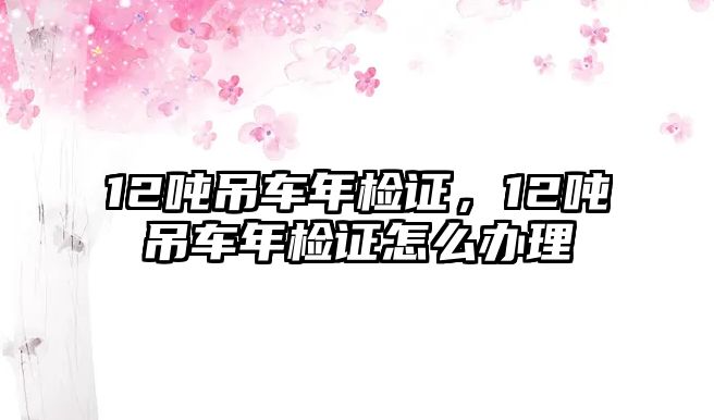 12噸吊車年檢證，12噸吊車年檢證怎么辦理