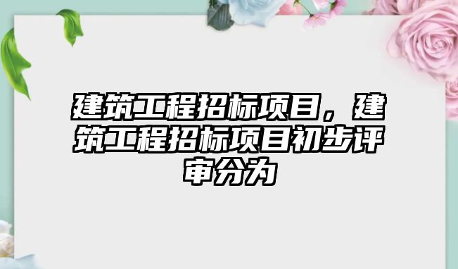 建筑工程招標項目，建筑工程招標項目初步評審分為