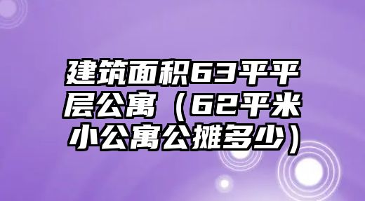 建筑面積63平平層公寓（62平米小公寓公攤多少）