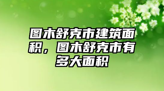 圖木舒克市建筑面積，圖木舒克市有多大面積