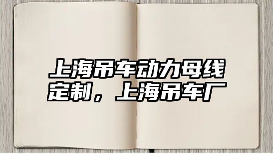 上海吊車動力母線定制，上海吊車廠